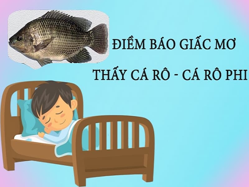 Giải mã sổ mơ cá rô phi chuẩn xác nhất 2021