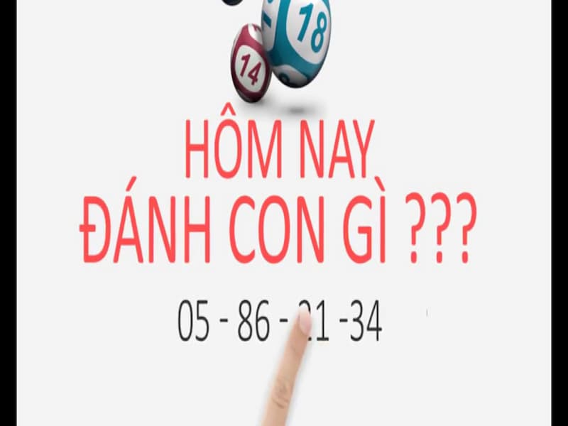 Bí kíp đánh lô đề luôn là câu hỏi được quan tâm